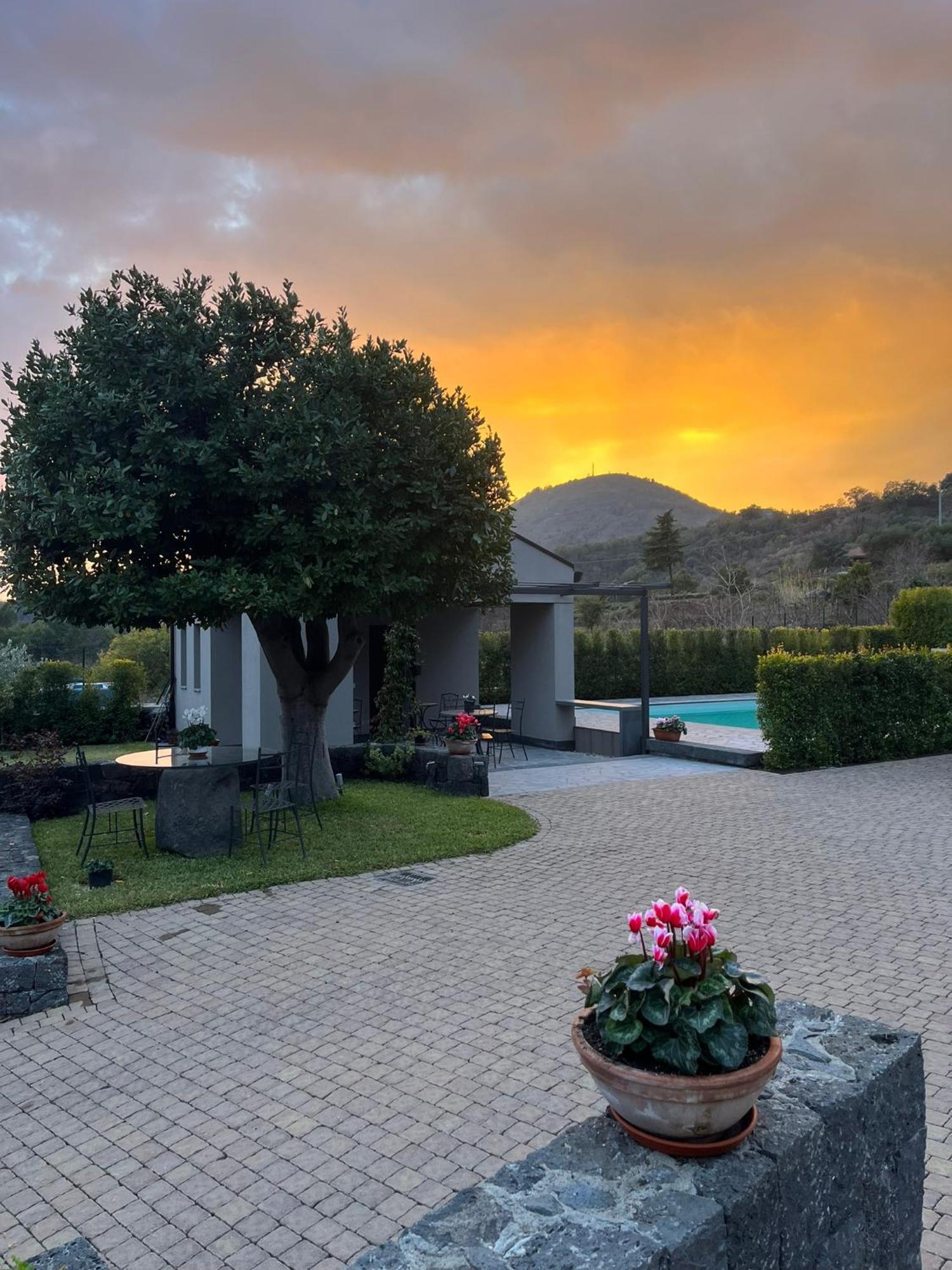 La Casa dell'Alloro Zafferana Etnea Esterno foto