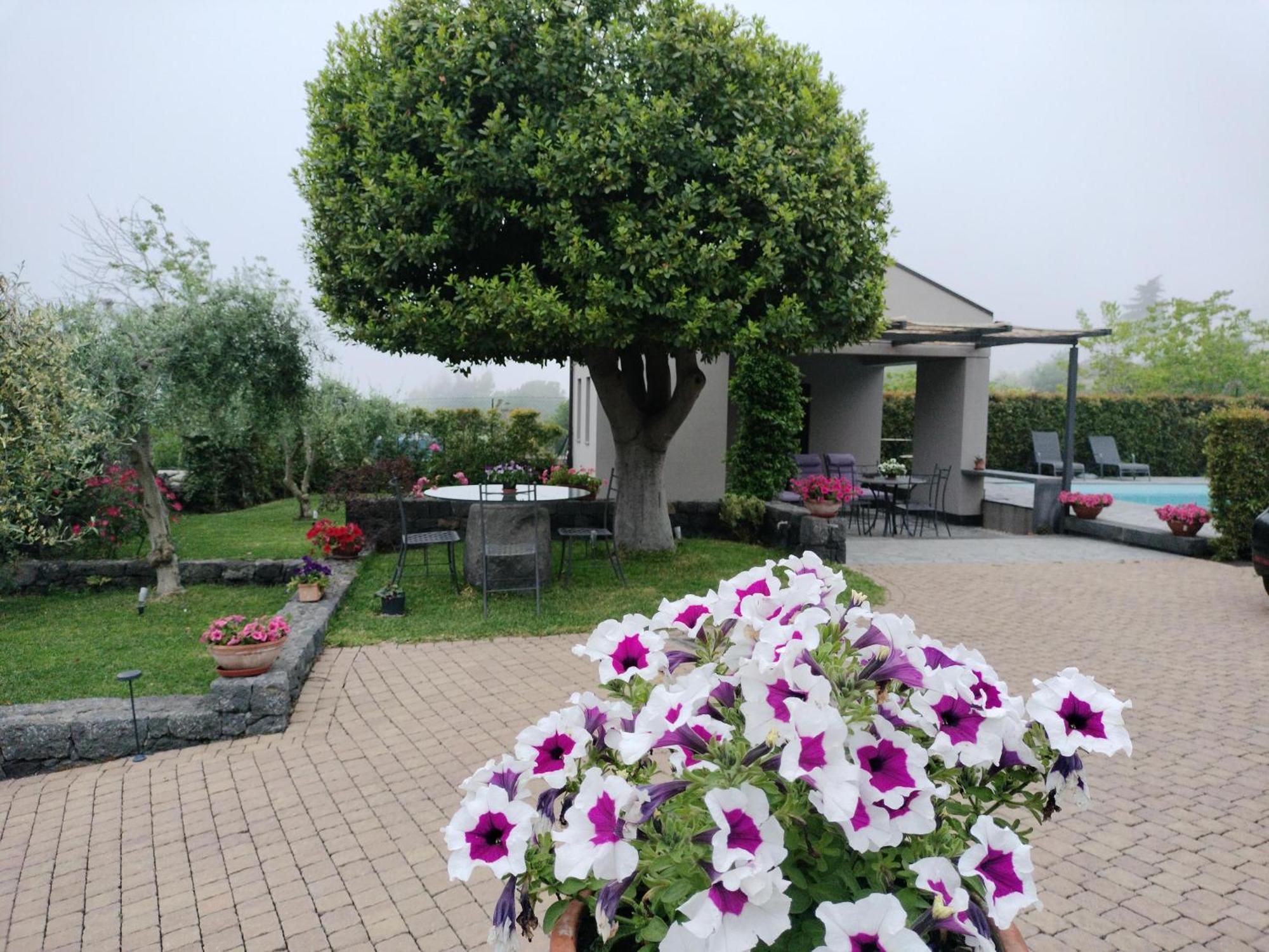 La Casa dell'Alloro Zafferana Etnea Esterno foto